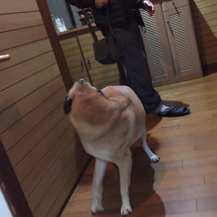 B501743b 3245 4178 bc14 9087ab02542d