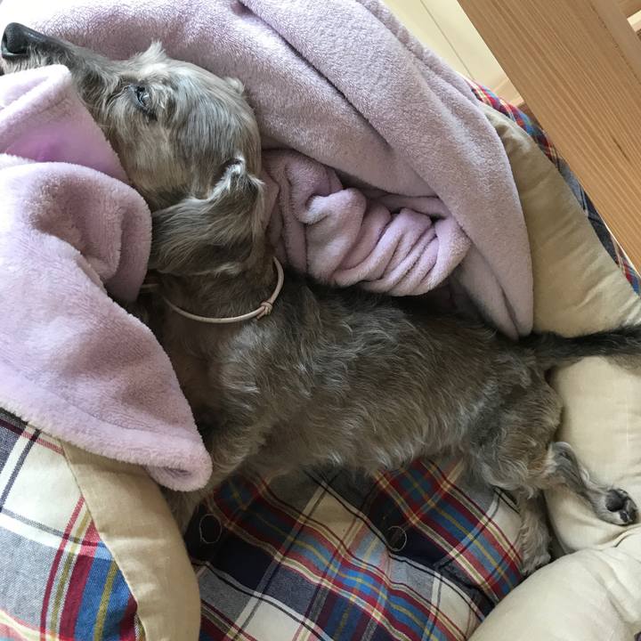 B501ae7d e81c 4f29 b5f7 1172e4fbdf2d