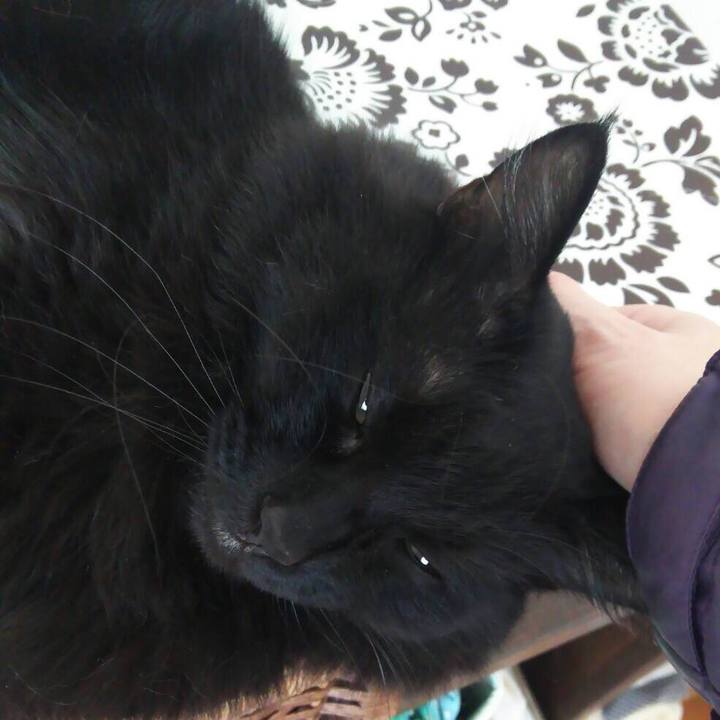 B501dca6 0acf 4c4b 91a1 111037715ba0