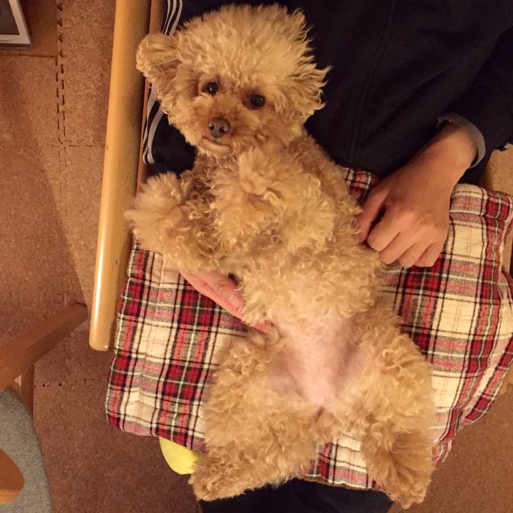 B503a16e 191c 4f80 bae7 1dc935db148b