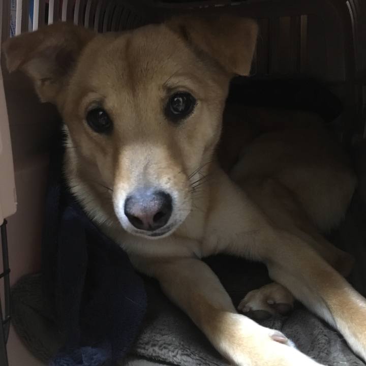 B503fcca 6ee3 44a7 b113 3470b4d37726