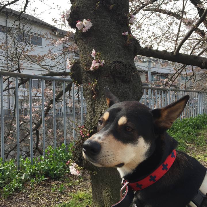 B504bae1 febf 448f 97d2 59187589b817