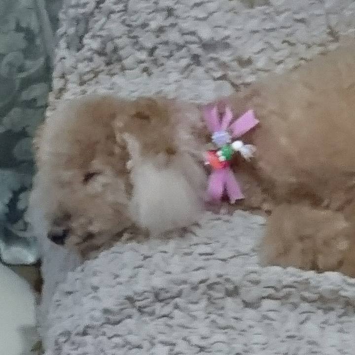 B504dc35 47d2 46fb 8270 04464b94c9b1