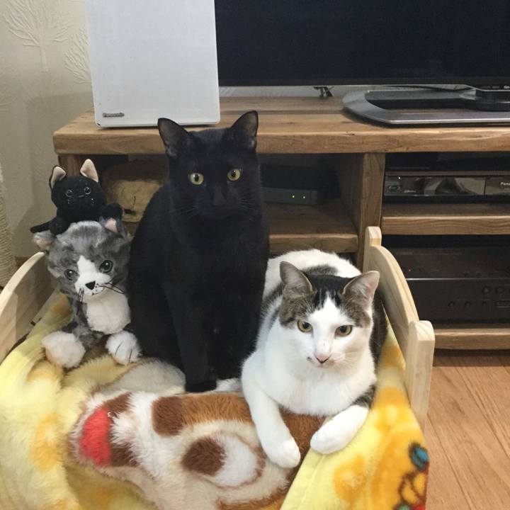 B5055da0 8d5e 48e3 8357 08e3eca7c3f2