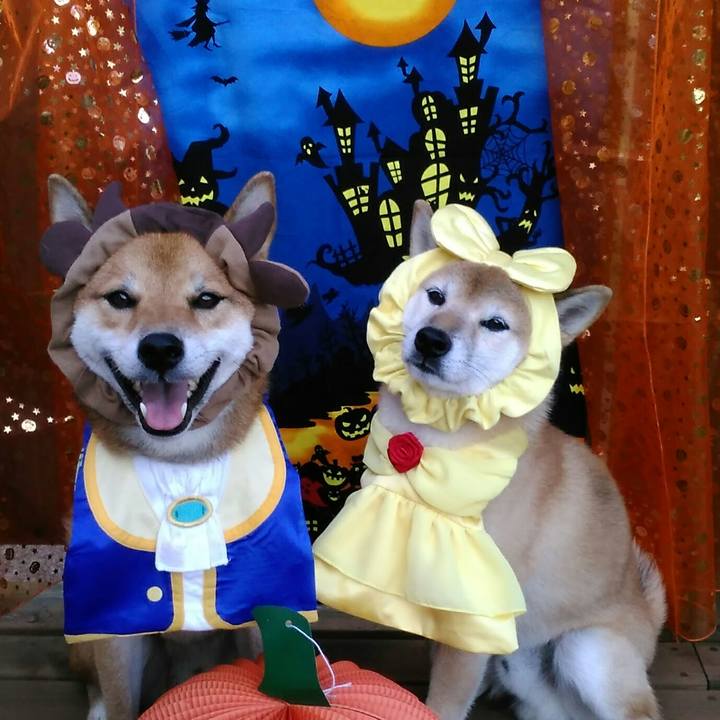 B5057070 5883 4c04 9de5 2be94b2f2e45