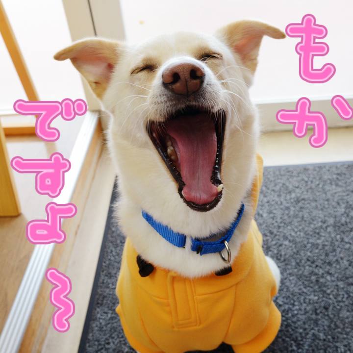 B505b6a9 9c27 4b50 b710 8856fb3240fd