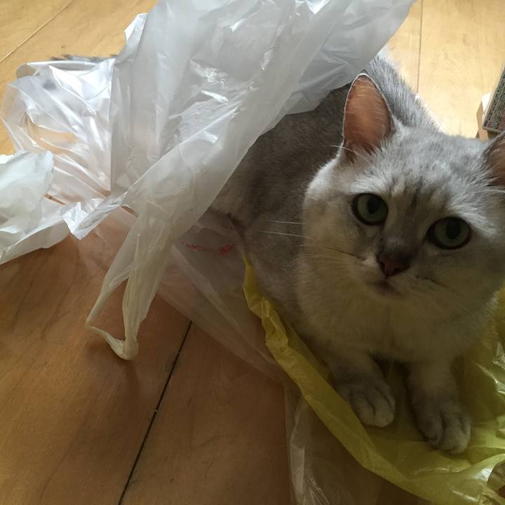 B505ddaa d721 4cde a395 3e81967c65d0