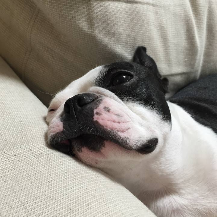 B506e28b 789b 4418 9477 10fdf9de95c5