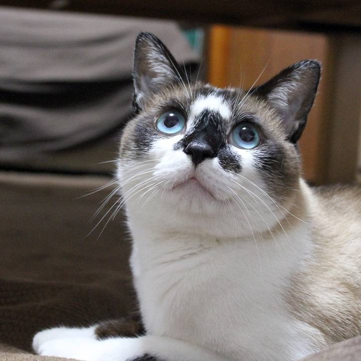 B50767fa 1543 4290 a0af f36d5aca475c