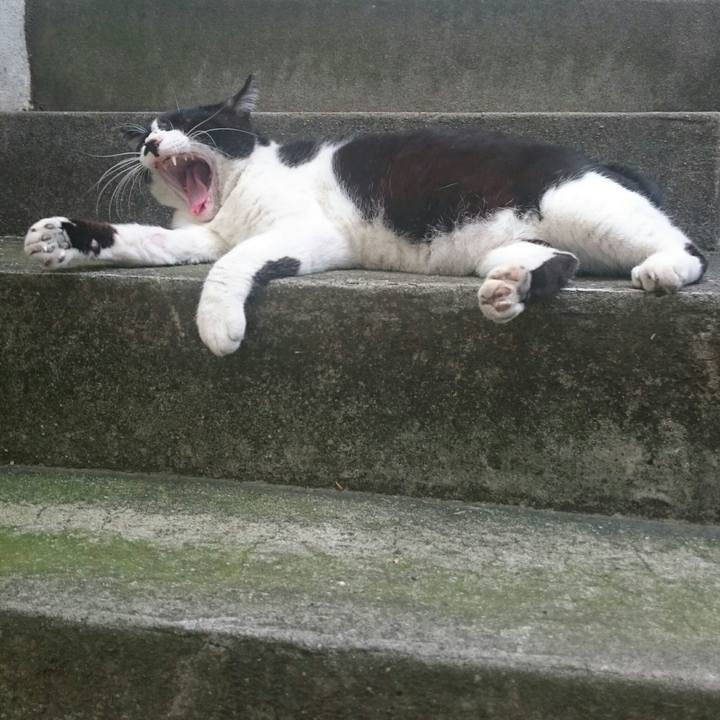 B5076a3d dc23 49b4 8e02 8859f7221075