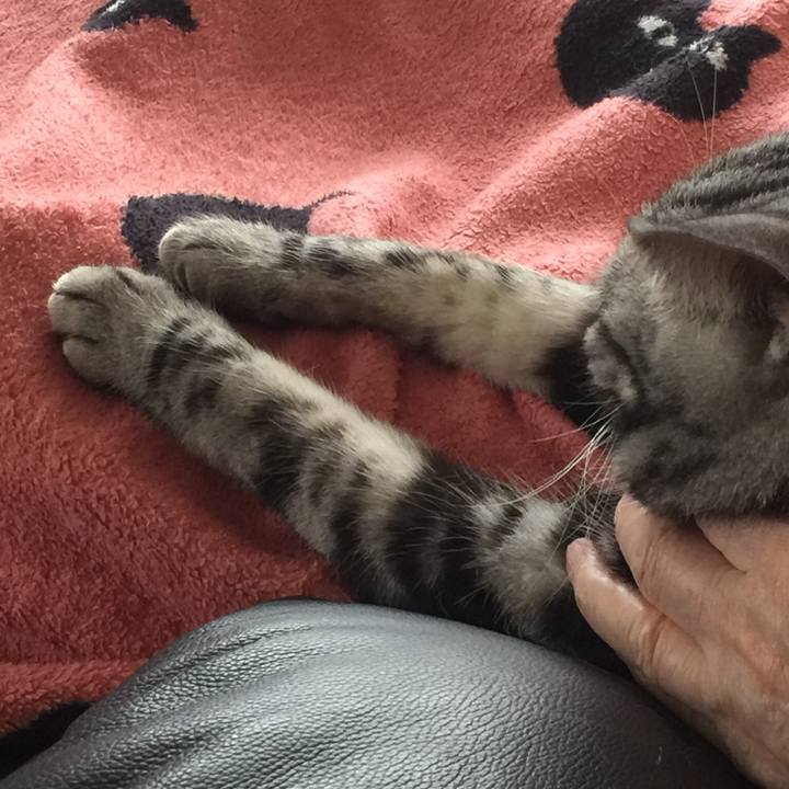 B507fa7f 48e9 4d90 90a4 663f05f965c6