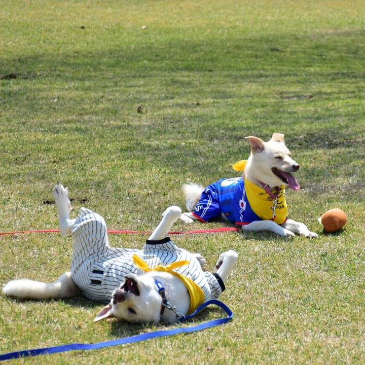 B509af70 08ec 4859 8f66 30cca1b795cc