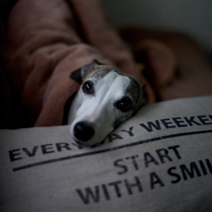 B509febf 49ef 4014 a174 4af37cd0f4cd