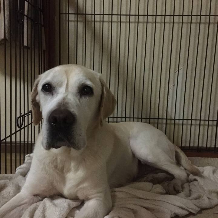 B50ade69 867e 4345 a639 aa218d7ce7b9