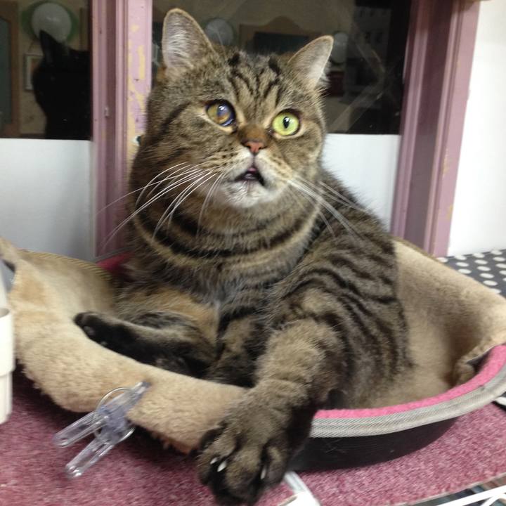 B50b002b fa43 45b8 bc99 3ad1e579ee2c