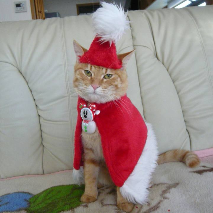 B50b0218 3772 4b57 86f2 09df3fe9fffd