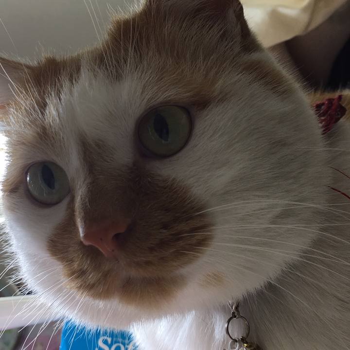 B50b8061 a219 4ca7 b035 62b7b47e6fbe