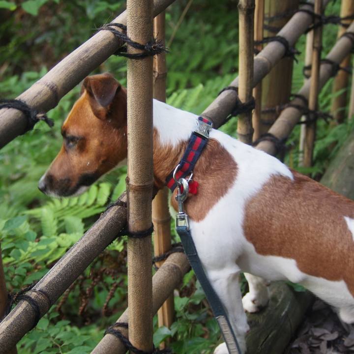 B50be45f 3af5 4231 b070 5667aa4400f9