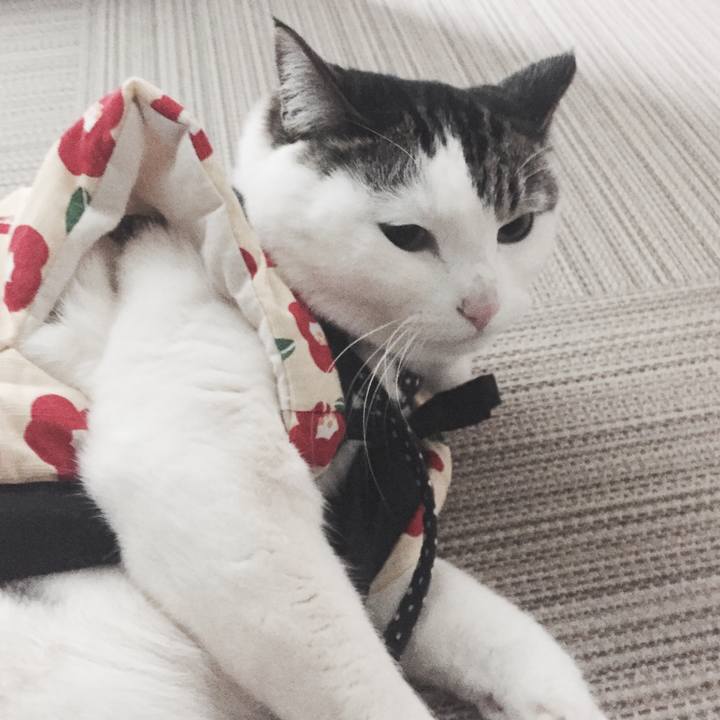 B50c0164 c201 4795 ada3 72e25666d4cd