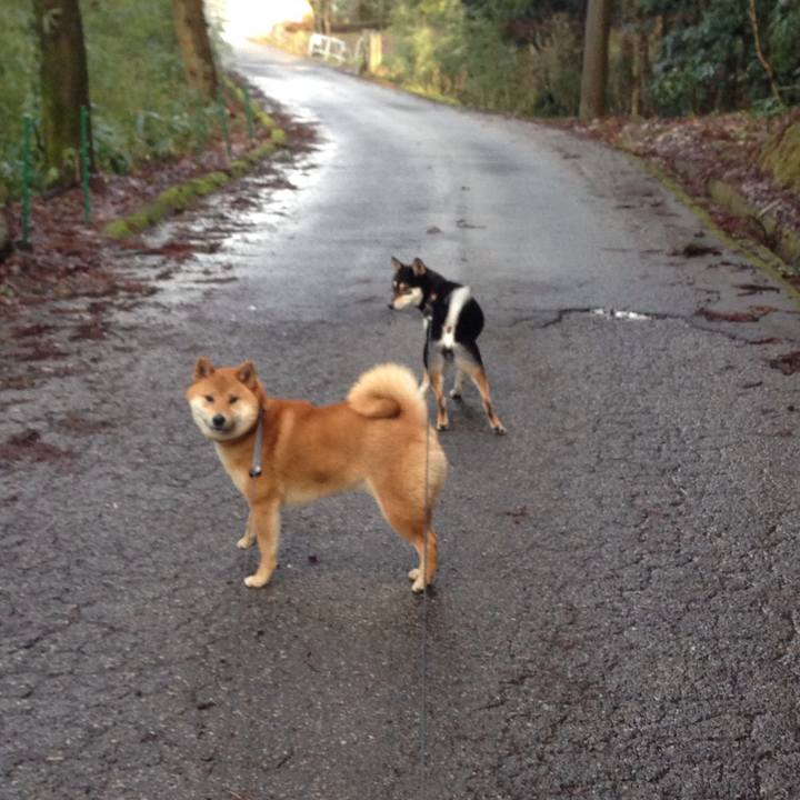 B50c18dd 5ed4 46b8 9e7f 6a52698678f7