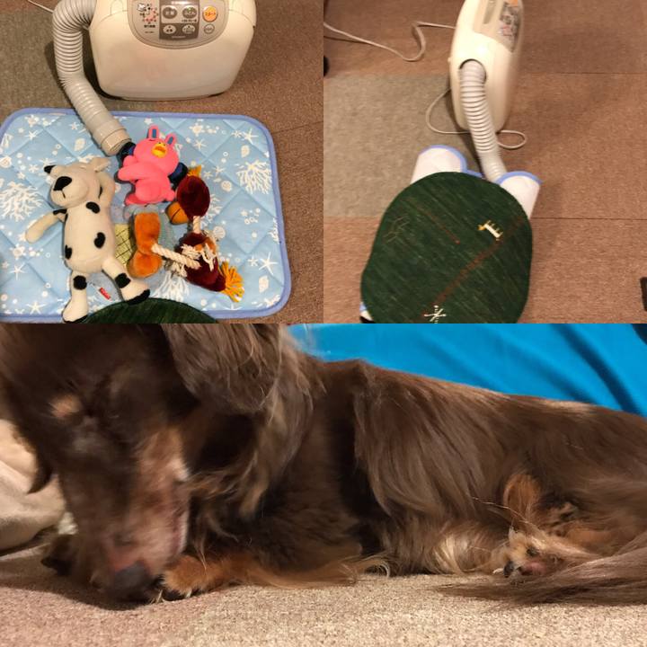 B50c9f57 5693 4ef6 9fef 76fb2ee08647