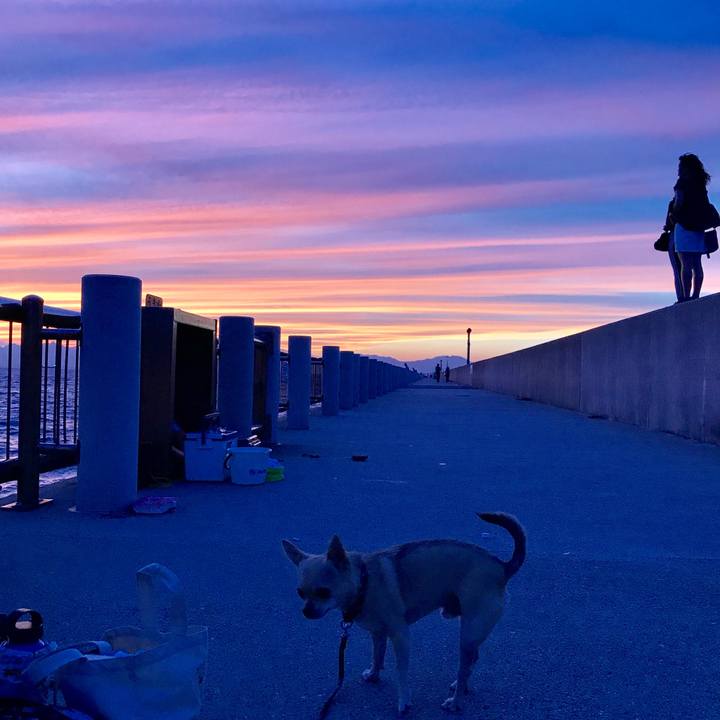 B50caa76 bf09 424e 8b3f 680eedd8ae22