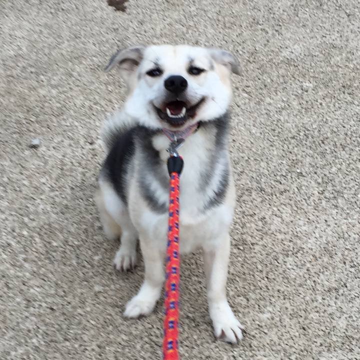 B50cdf24 8ed8 4eaa 8189 2c6c1b81d00b