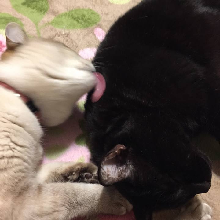 B50d96b9 9414 42b1 a645 bc78c9148ece