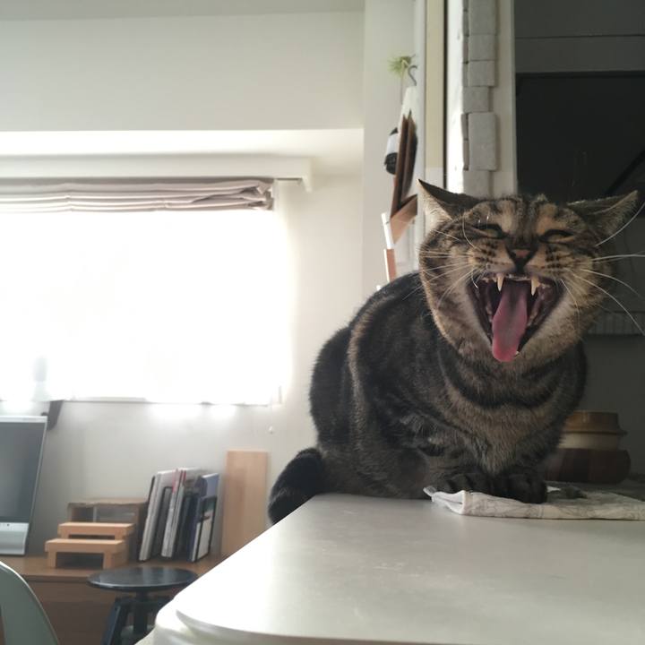 B50dd091 b492 4dac b7fc 21f9c063d463