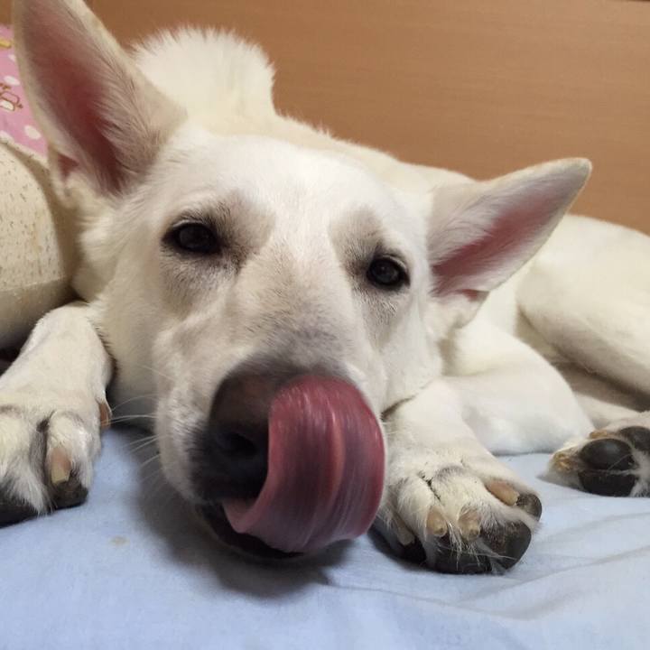 B50e25a7 6205 418f bbbd 30de62110b64