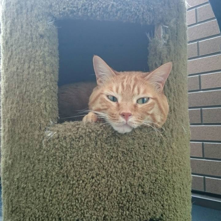 B50e2661 19ed 4464 98da 9a33ca99a1e2