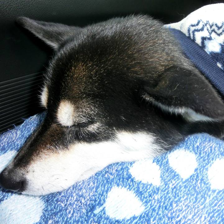 B50e3394 bd32 4aba aa30 59a9fd70da30