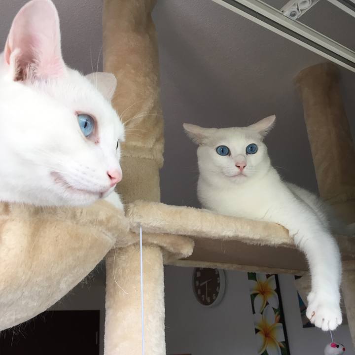 B50e733a 1f93 46bb ab33 e16abdfce740