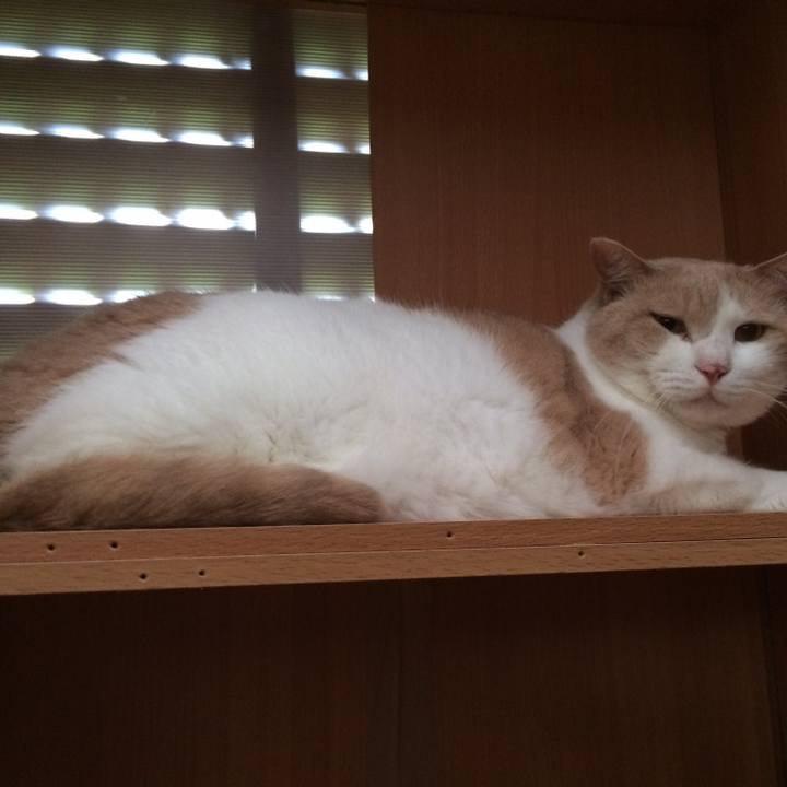 B50ef157 21f7 4451 818b bd286d6c4de8