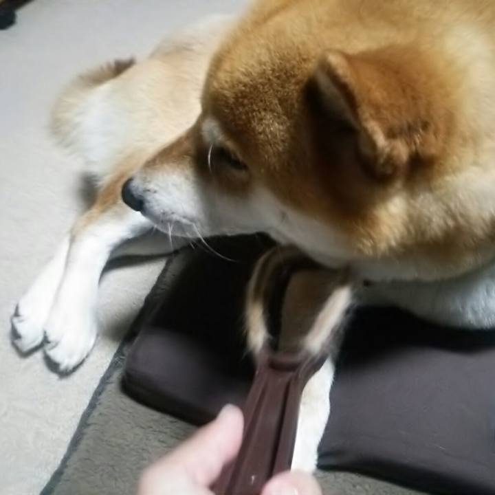 B50f8df0 851f 4904 9a56 83e305c767f6