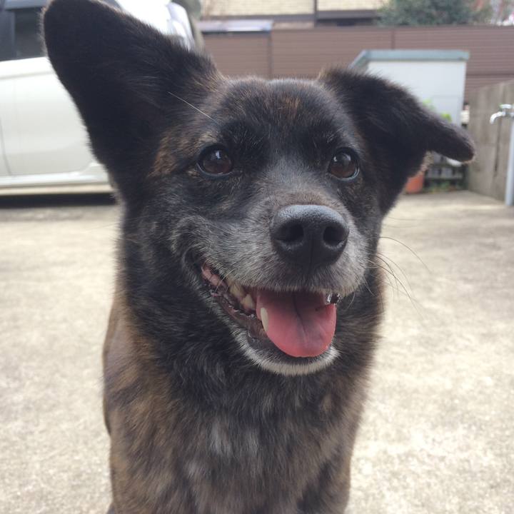 B50fdc79 522f 4bd7 b51e fa5ae8282180