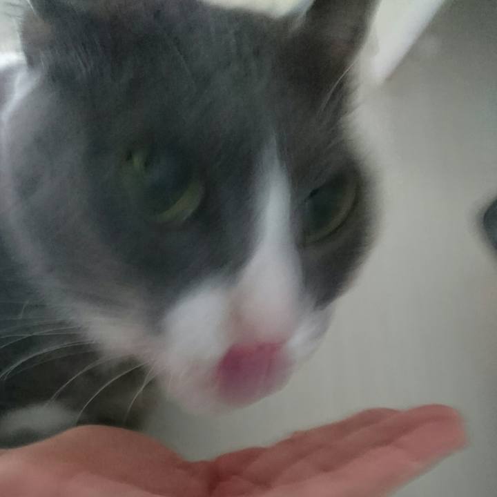 B5101774 0a21 42e9 8d9c ef73bc2129df