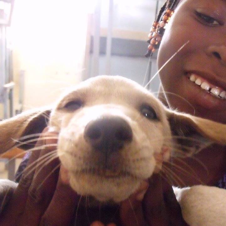 B51086ba 62f1 4778 bcb7 dde3813f1cd7