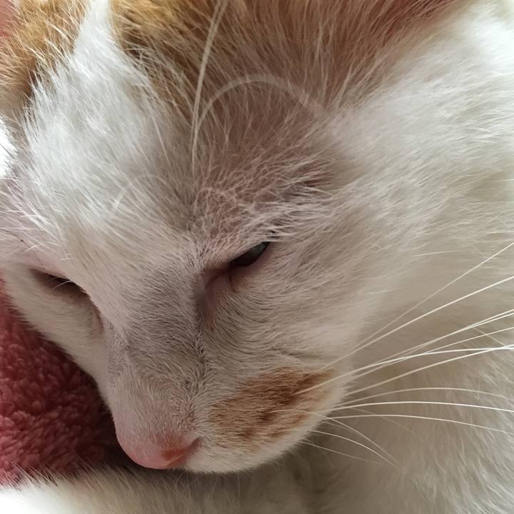 B511cd26 de38 460f a9f6 a4a0a36636c1