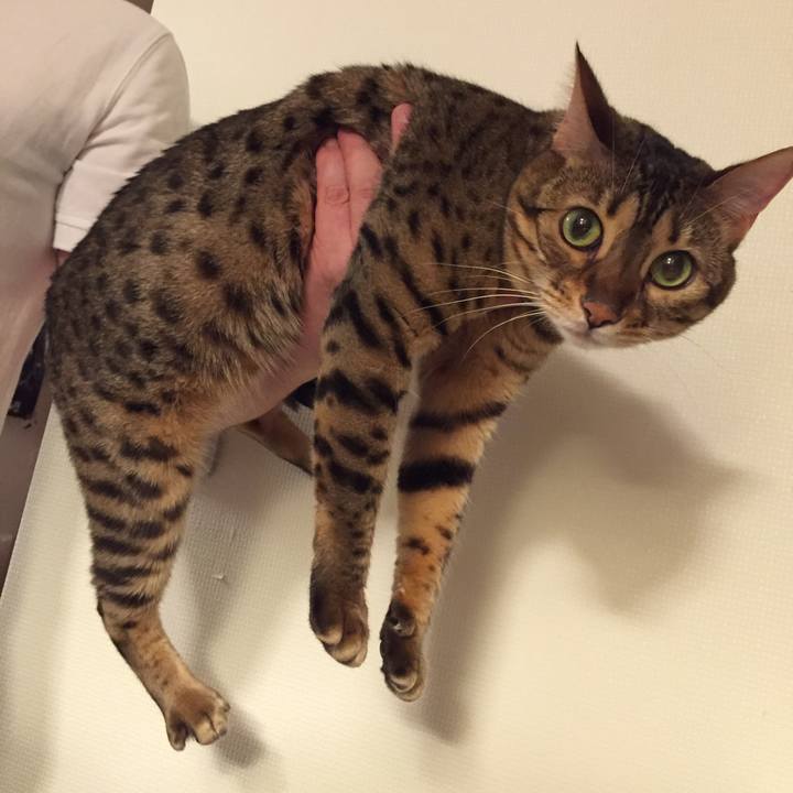 B512004c 73f1 40c6 ae12 e11d420c0773