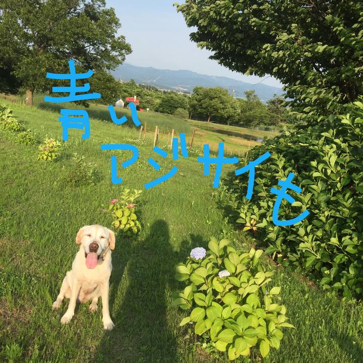 B512f34a 8abb 48b2 8ec2 1aa5b5cc94b8