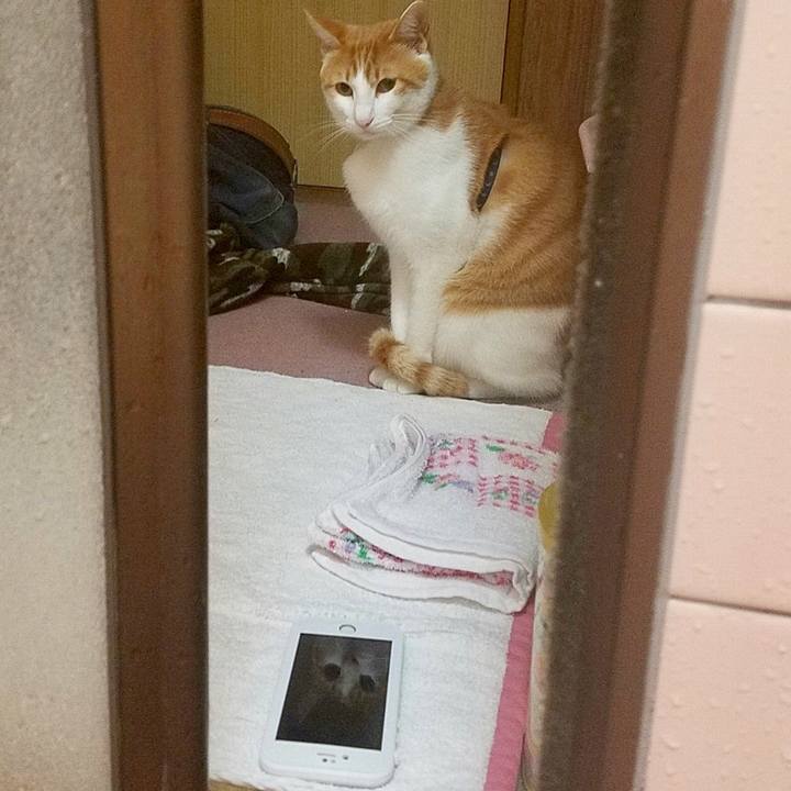 B5135ea4 d273 4334 8d4d 1c54a133baa0