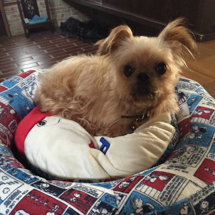 B51408db d657 4915 a570 b4a083883671