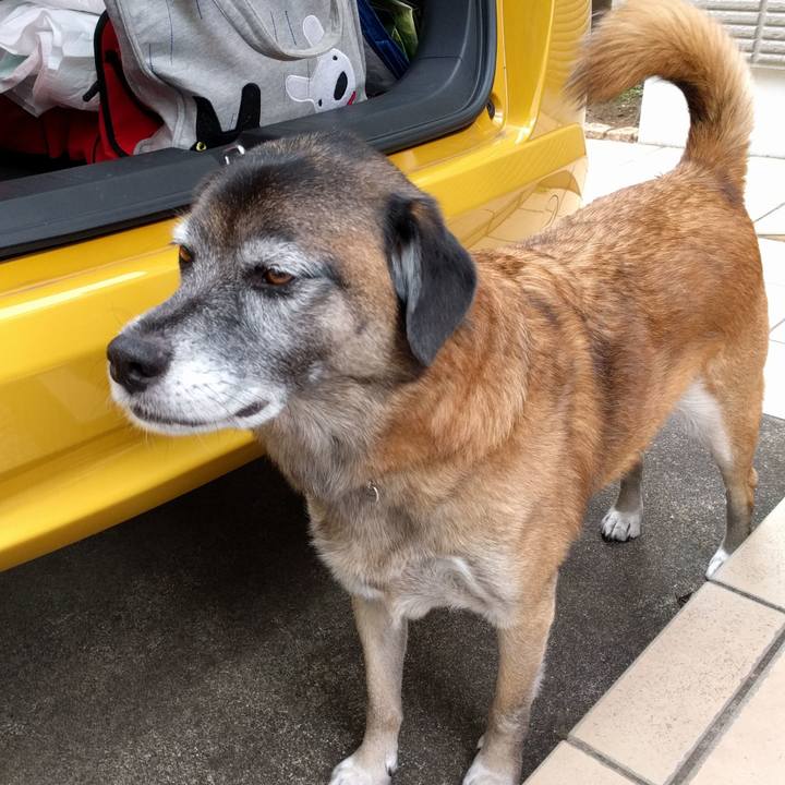 B514b425 2cc7 43ff 9b03 836a7f3a3225