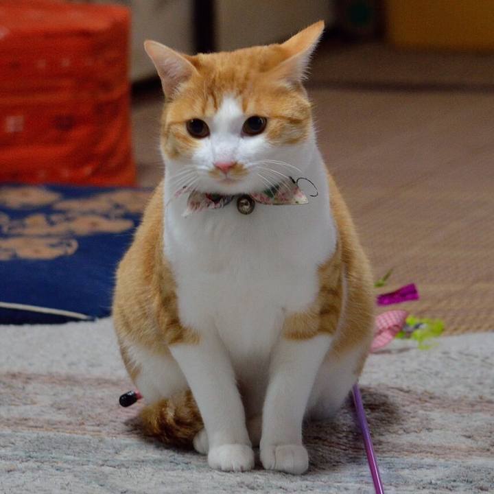 B514cb88 8f39 4c23 8ff7 5121e55afd6c