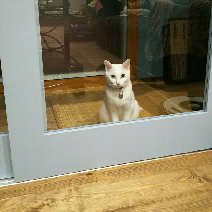 B515a91d 7fd9 4550 991e 3399baec09c8