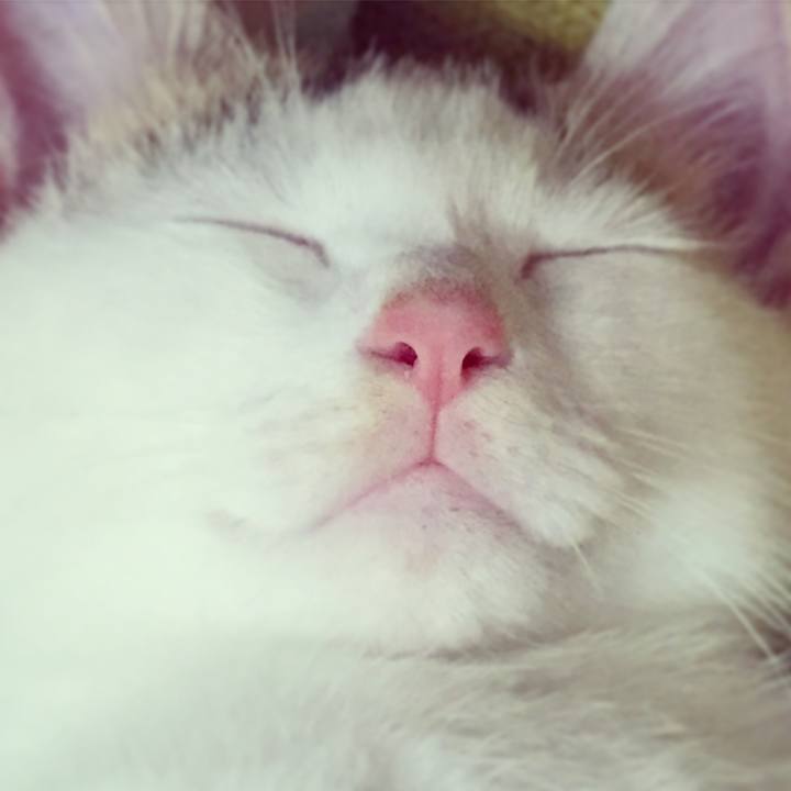 B515aef9 bbd3 44e2 8479 4e369d15e05f