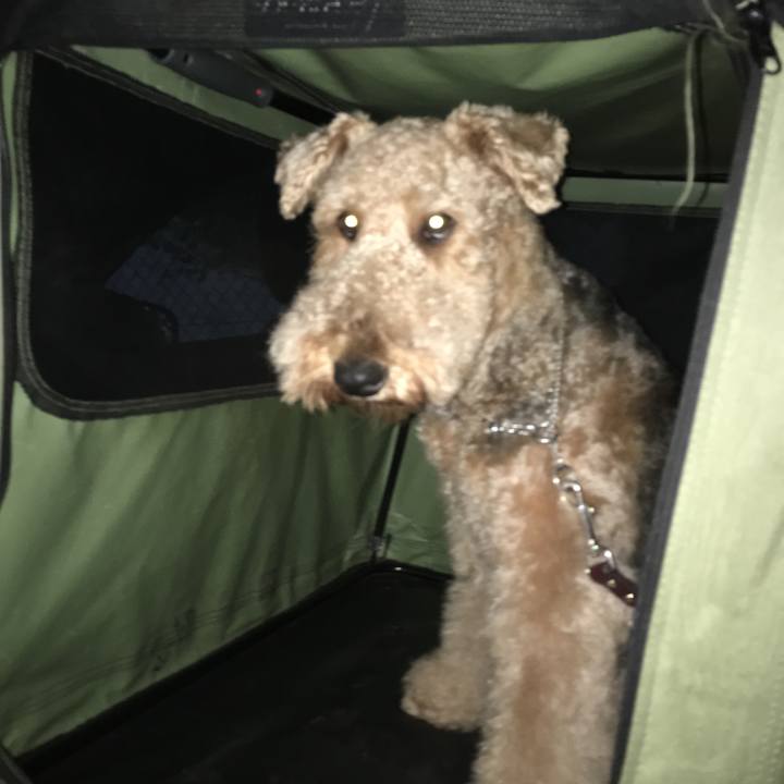 B515f51e 2134 42de b930 572273e90657