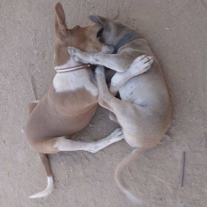 B516691c ec9e 4e0d bf67 8c228eb1fdea