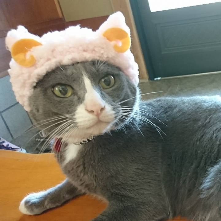 B5166f80 732d 4707 9ec5 4157fa11d049